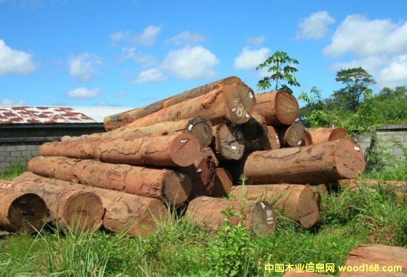 �p���Kľ��Ԕ��(x��)��B