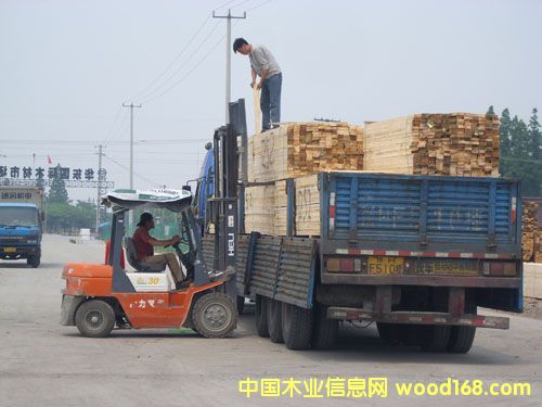 �K��ľ���Ј����I�ӹ��^��Ԕ����B