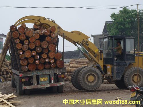 �K��ľ���Ј��ӹ��^��Ԕ����B