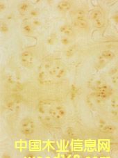 �L(f��ng)Ӱ��Ԕ��(x��)��B