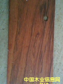 ����t��֦��Ԕ����B