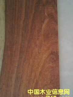 ���齛(j��ng)��֦��Ԕ����B