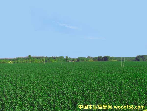 �c���鿴������Ŵ�DƬ