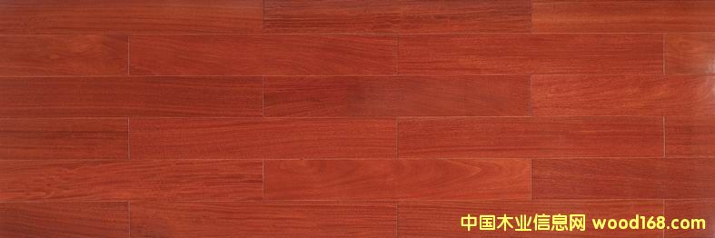 �t̴���Ԕ��(x��)��B