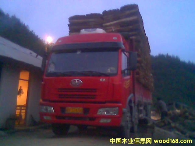 о�����\��Ԕ����B