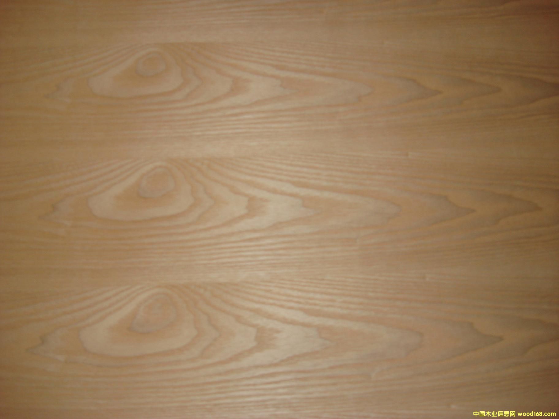 ���(y��ng)���\(ch��ng)ľ�I(y��)��Ԕ��(x��)��B