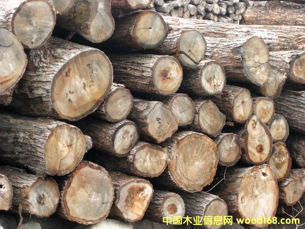 ԭľ��Ԕ����B