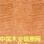 �c���鿴�tӰ�Ŵ�DƬ