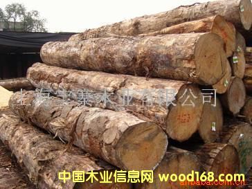 ݗ����ԭľ��Ԕ����B