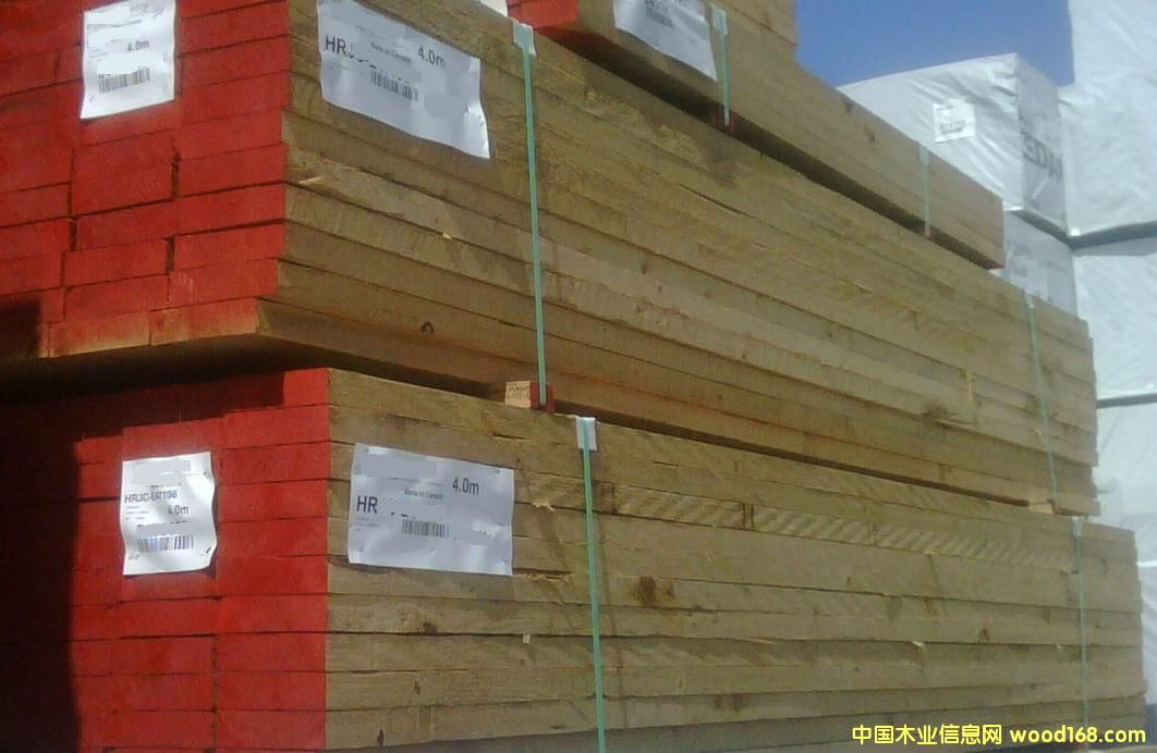 �c���鿴SPF�Ŵ�DƬ