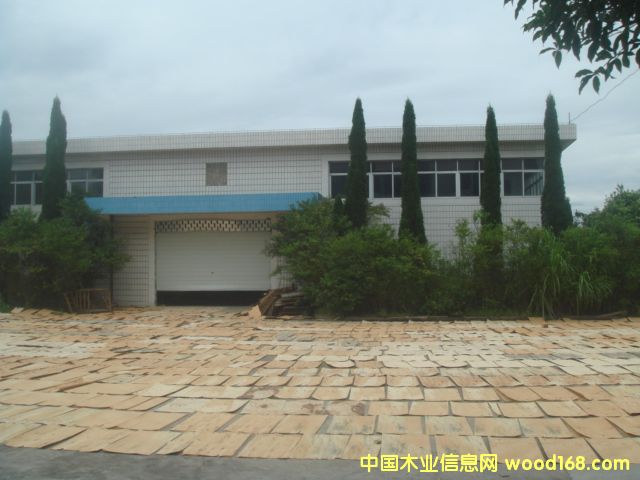 �c���鿴����ģ���z�ϰ�Ŵ�DƬ