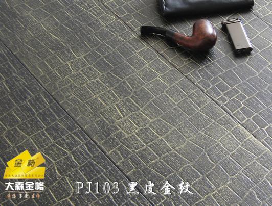 �c���鿴PJ103#�S��׷Ŵ�DƬ