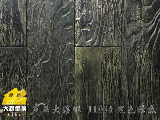 �c���鿴J103#��ɫ�T��Ŵ�DƬ