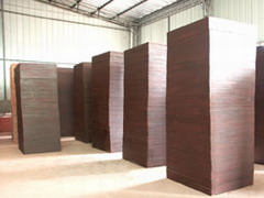 ��ľ�����Ԕ����B