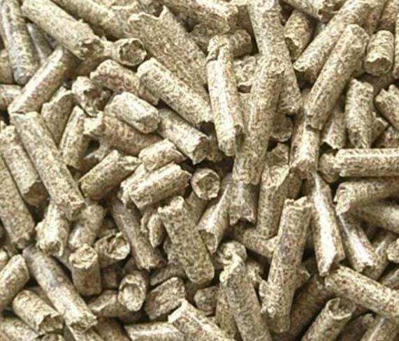 �c���鿴ľм�w���Ŵ�DƬ