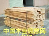 �W�ޙ�ľ���   ���50mm