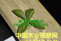 ���u����ľ��Ԕ��(x��)��B