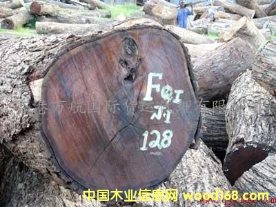 �c���鿴����ľ���M�ڴ���/ľ���M�ں��݈��P����/ľ�ĺ����M�ڴ����̙z�Ŵ�DƬ