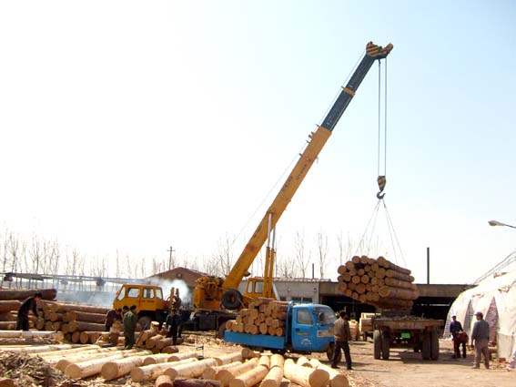 �c���鿴ľ���M�ڛ]�Юa���C/�����C/�lΣ�C��ô���k?�Ŵ�DƬ