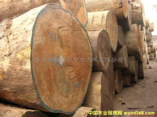 �c���鿴�Ҿ��M�ڻ������P����/����ľ���M�ڴ�����P/���ݼҾ߈��P�зŴ�DƬ