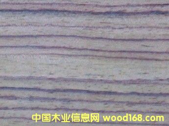 �c���鿴ӡ����̴sonokeling�Ŵ�DƬ