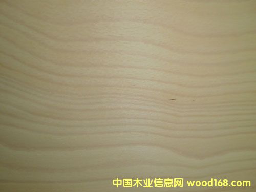 �c���鿴��ľƤ�Ŵ�DƬ