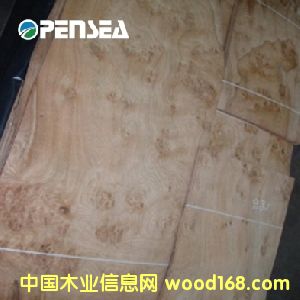 ��ľ����ľƤ��Ԕ����B