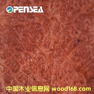 �t��������ľƤ��Ԕ����B