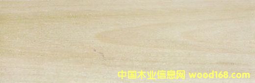 �����Z���,�����S��,�����ח��Ԕ����B