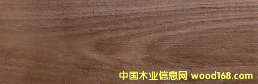 �����ں��˵�Ԕ����B