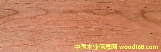 ��������,�����ڙ��ҵ�Ԕ����B