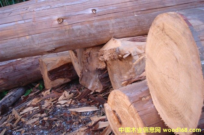 �c���鿴��ֱ��ɼľ�Ŵ�DƬ