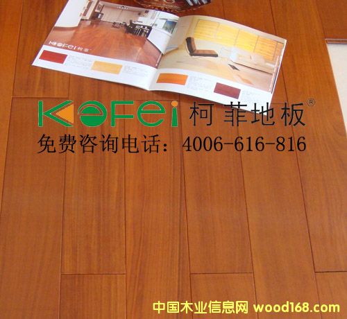�c���鿴���P̴��ľ�ذ�Ŵ�DƬ