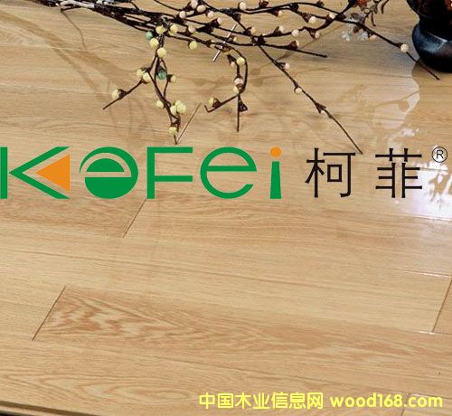 �c���鿴��ľ��ľ�ذ�Ŵ�DƬ