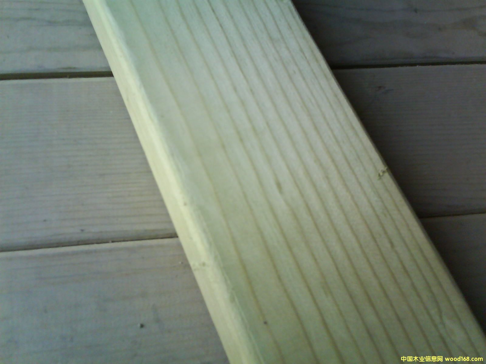 ���B����ľ��Ԕ����B