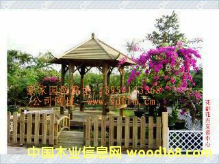 ���Ϸ���ľ��ͤ���ܵ�Ԕ����B