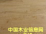 �o���ذ��Ԕ����B