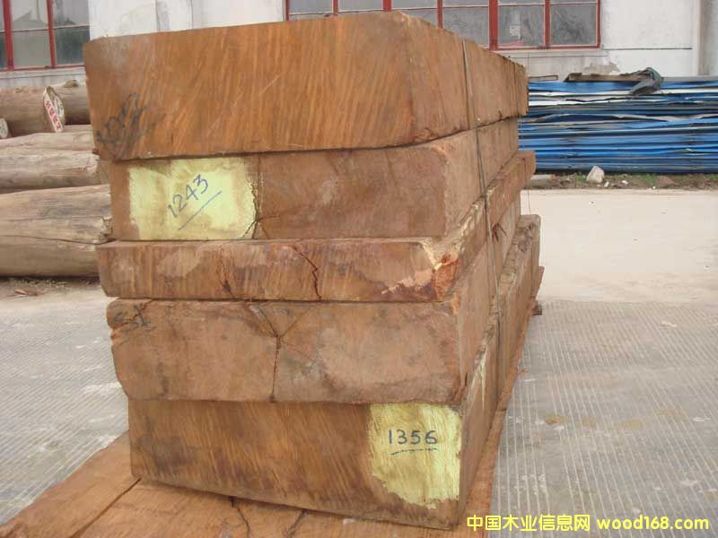 ����ľ��Ԕ����B