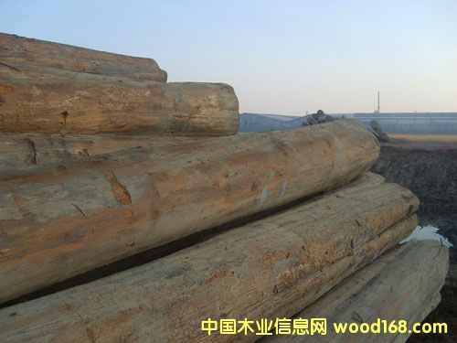 ��ľԭľ��Ԕ����B