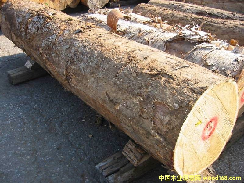 ����ԭľ��Ԕ����B