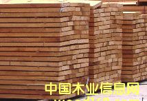 ������ľ��Ʒ