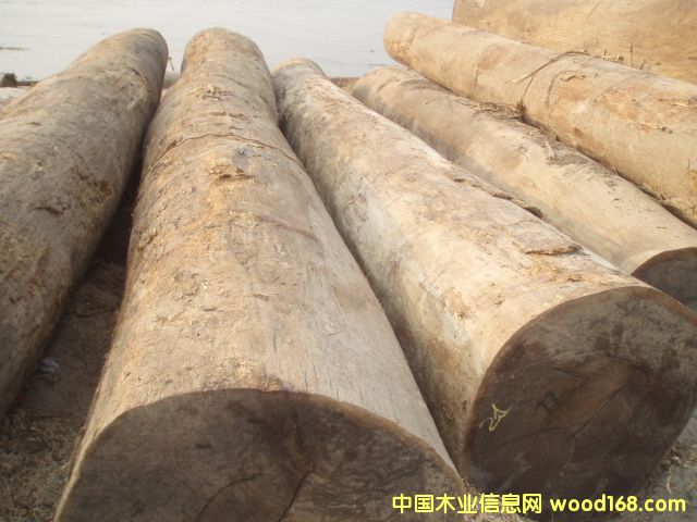 �u���Ԕ����B