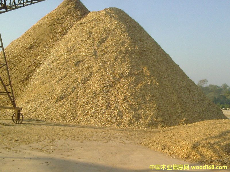 ľƬ��Ԕ����B