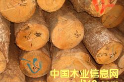 �������ɵ�Ԕ����B