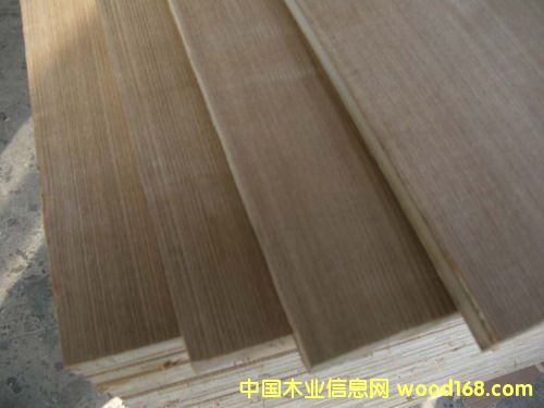 �c���鿴��ľ����Ŵ�DƬ