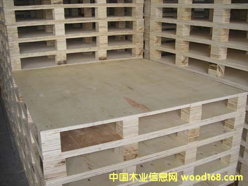 �c���鿴��Ѭ���бP��Ԕ��(x��)�Y��