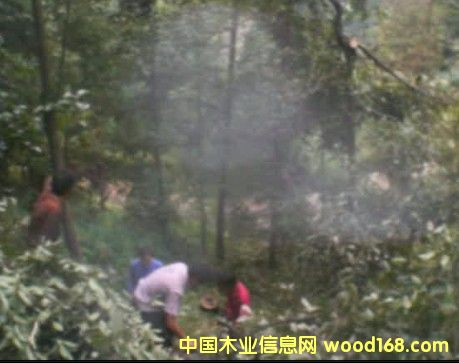 �sľ�����Լ�����