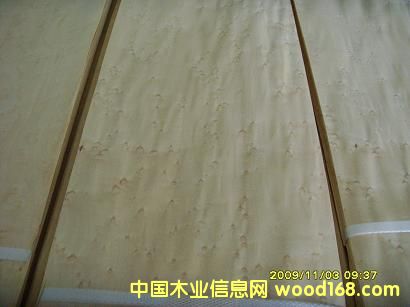 0.3��ľȸ��ľƤ��Ԕ����B