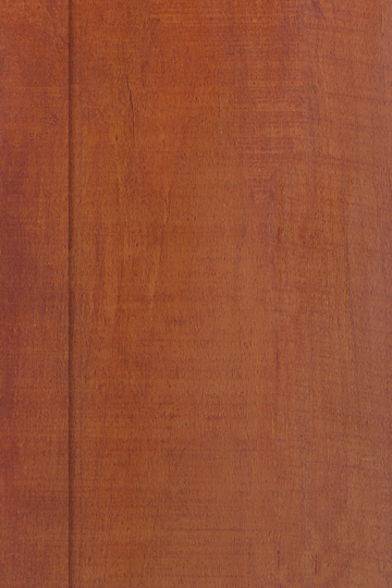 �c���鿴350�Ŵ�DƬ