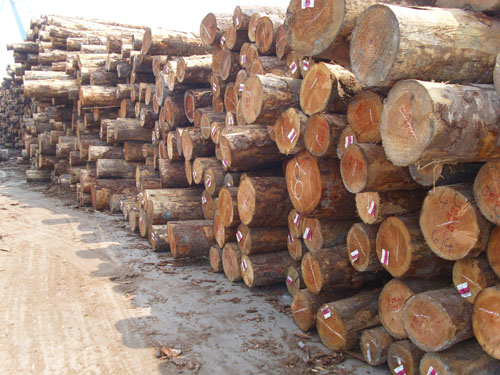 ����ľ�ĳ��ڵ�Ԕ����B